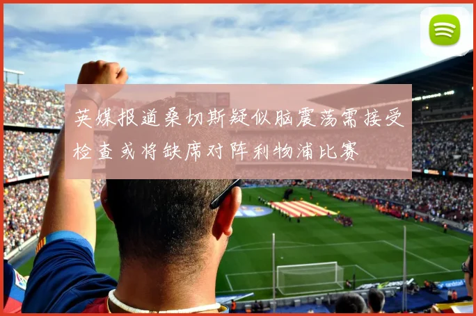 英媒报道桑切斯疑似脑震荡需接受检查或将缺席对阵利物浦比赛