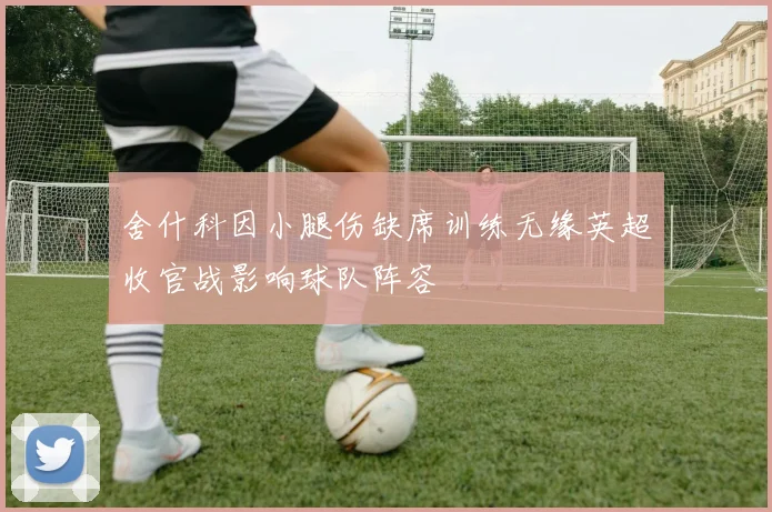 舍什科因小腿伤缺席训练无缘英超收官战影响球队阵容