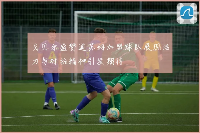 戈贝尔盛赞道苏姆加盟球队展现活力与对抗精神引发期待